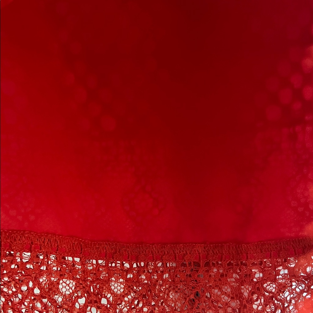 Banana Republic Elegant Red Lace Skirt - Picture 9 of 11